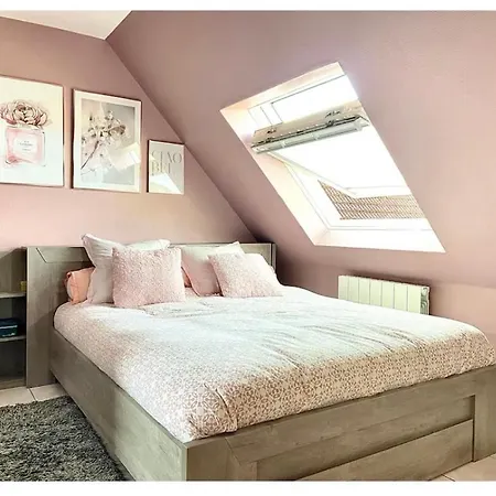 Cosy Proche De Strasbourg Mundolsheim